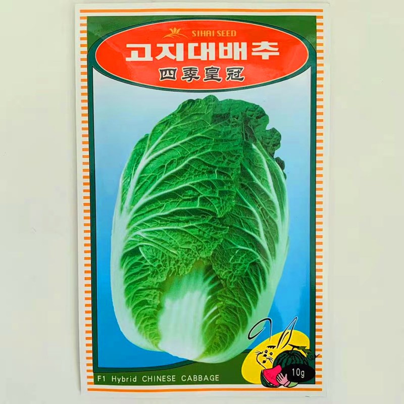 时艺大白菜种子韩国引进抗病耐寒春夏秋季栽培黄心白菜种籽蔬菜种孑