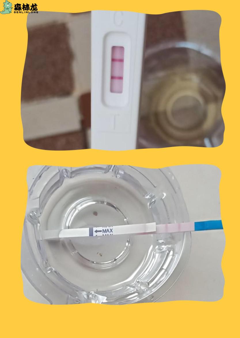 验孕棒恶搞假怀孕验孕棒纸双杠检查阳性两道杠假已怀孕孕妇尿液鉴别