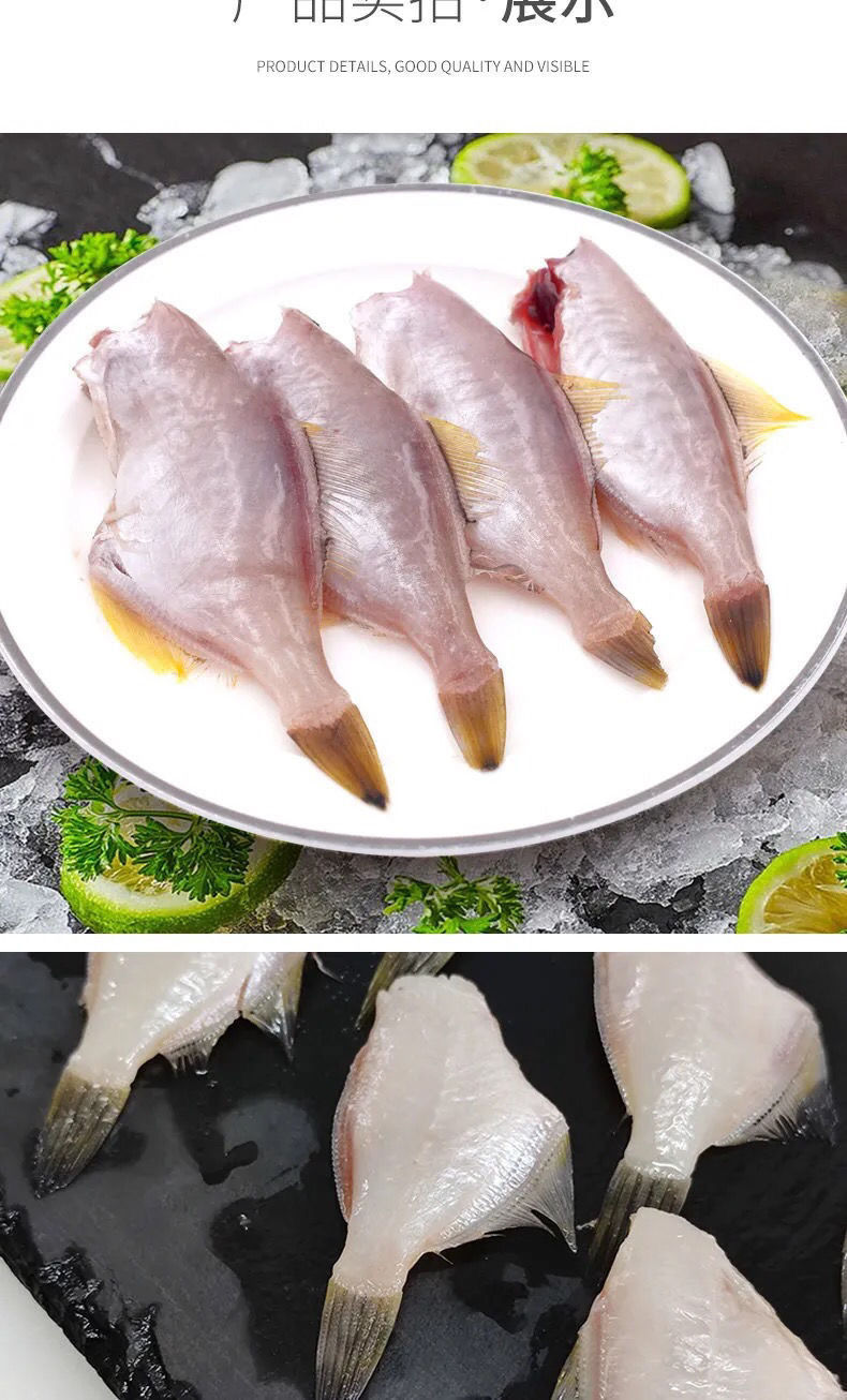 lism耗儿鱼大号扒皮鱼新鲜冷冻马面鱼剥皮鱼食材海鲜橡皮鱼 3斤装小号