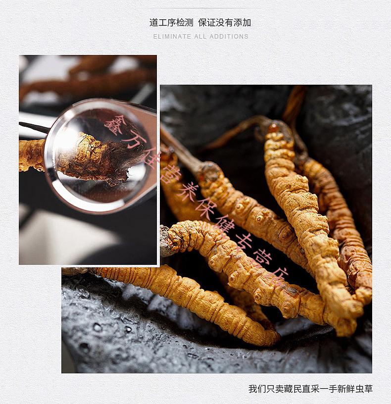 现货直邮钟氏虫草西藏那曲冬虫夏草头期干草10g干货礼盒装4根每克40根