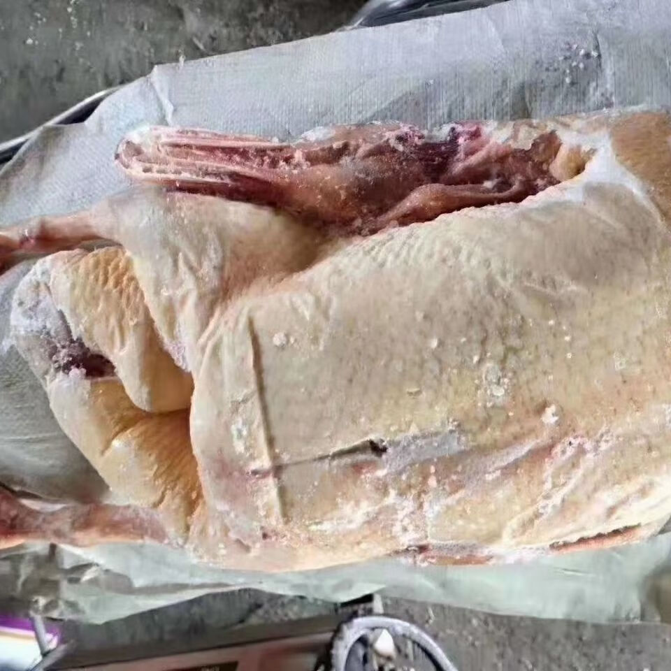 颜色,口感大雁鹅小火慢炖时间越长越像腌制的一样,是餐桌东北雁王