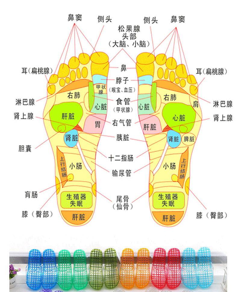 浴室拖鞋 漏水 滑夏男女 脚底 足底 穴位按摩器凉拖鞋按摩鞋 紫色 600