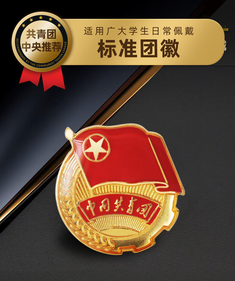 博鹤州 团徽团宝汇团徽正版共青团监制中国共青团团徽新款标准型学生