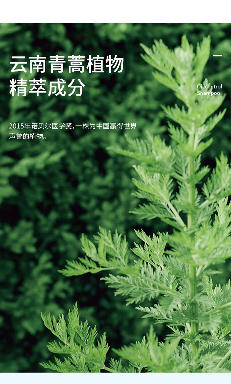 魔都征服青蒿止痒洗发水乳素沐浴露去屑控油除螨生姜养发男女学生套装