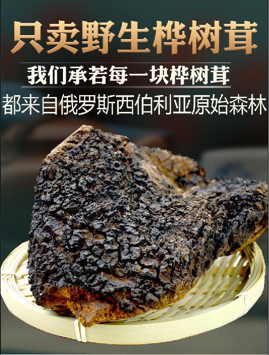 进口俄罗斯桦树茸白桦茸野生桦褐特孔菌级黑金整块切块 四十年野生