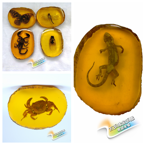 朴春 琥珀虫珀原石摆件 真昆虫动物化石标本琥珀景石挂坠居家办公装饰