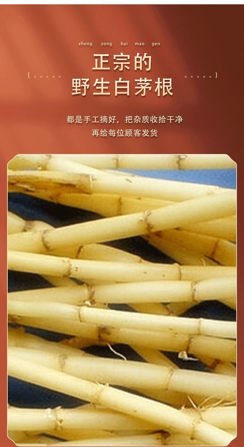 白茅根丝茅根新鲜野生茅草根竹蔗马蹄茅根水甜毛根凉