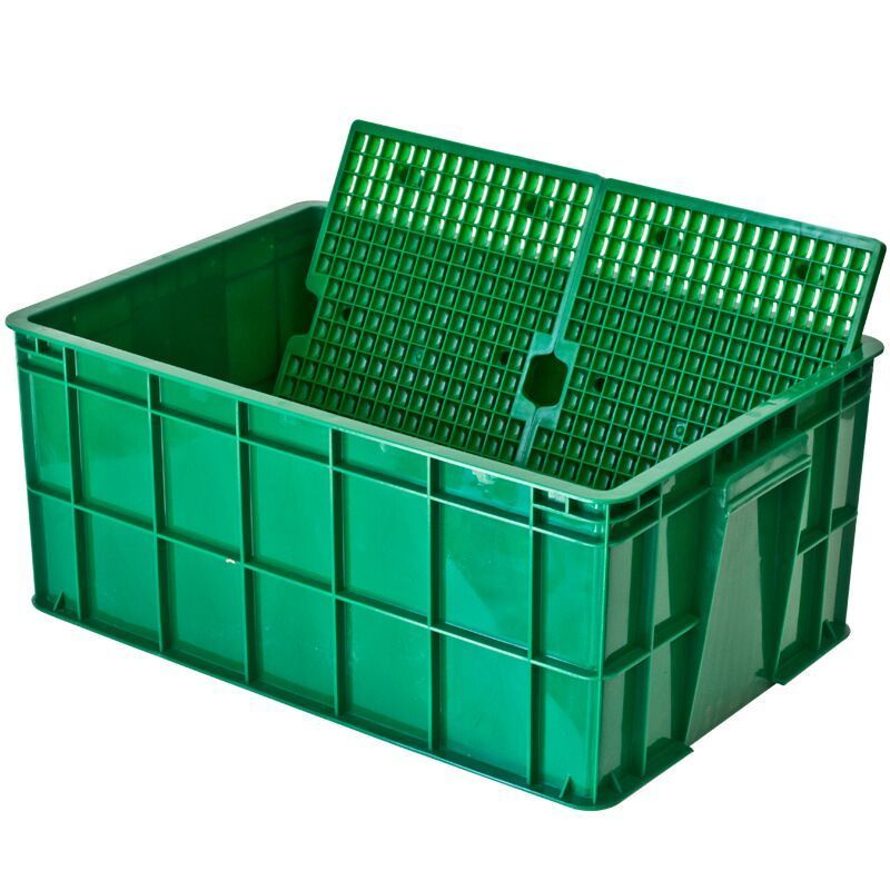 商用水培花生芽种植盒特大号多功能种植箱盘豆苗育苗箱育苗盘256粒