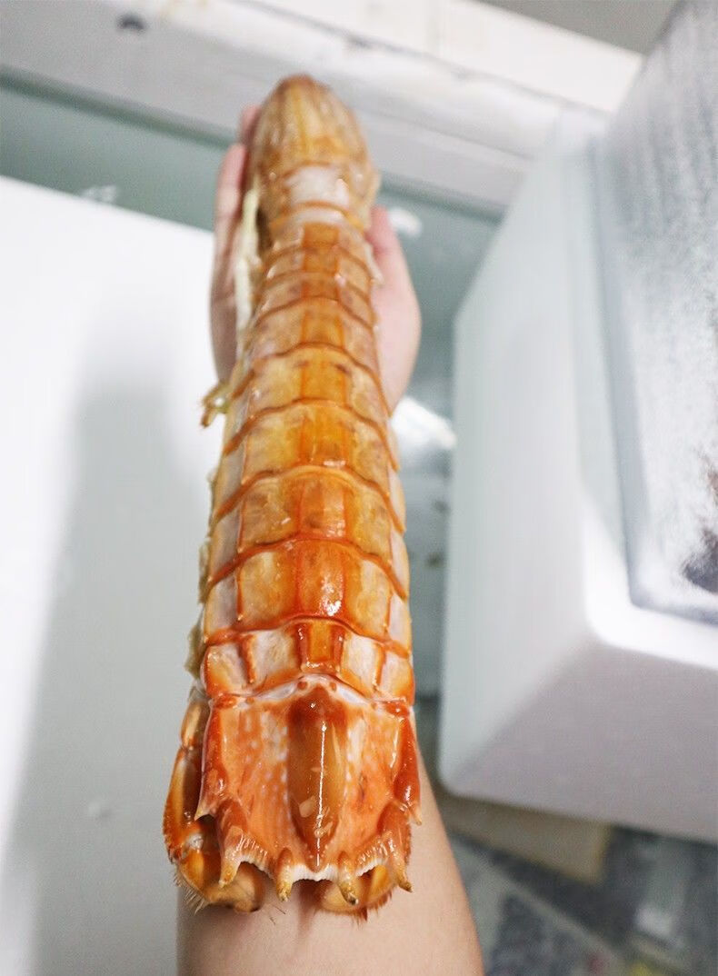 皮皮虾鲜活超大泰国富贵虾全母带膏特大濑尿虾熟冻椒盐皮皮虾海产 熟