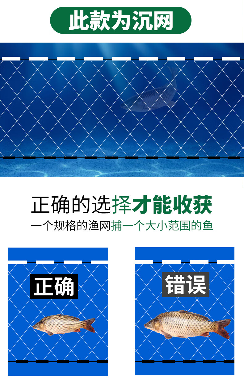 b934151bbea37c19.jpg