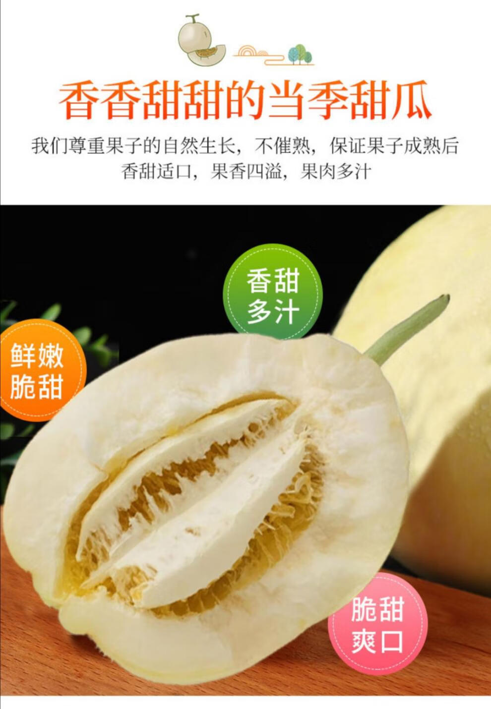 巴盟白莲脆香瓜5斤整箱空运应季水果香甜脆皮甜瓜内蒙古特产 精品大果