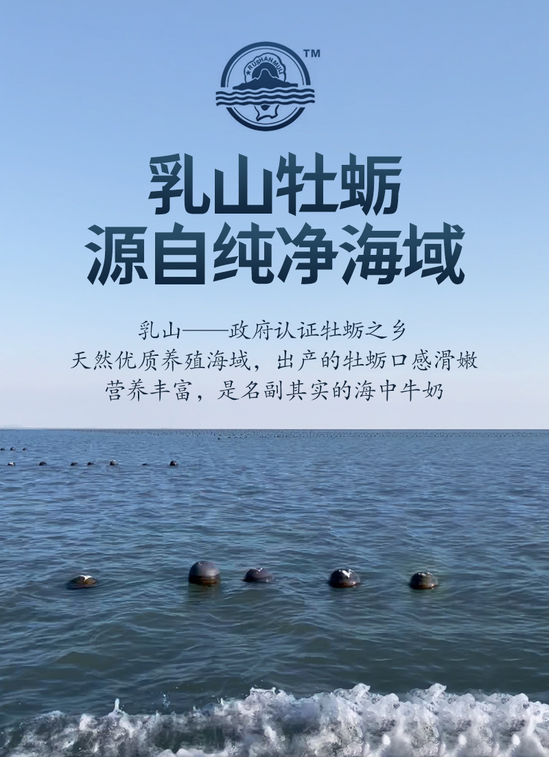 【活鲜】生蚝鲜活 乳山牡蛎 三倍体 10斤新鲜保活生蚝烧烤食材贝类