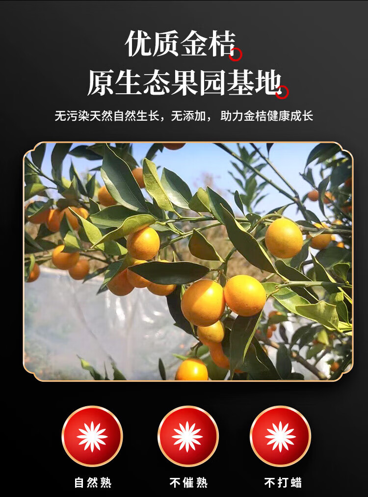 脆蜜金桔 特大果 5斤【图片 价格 品牌 报价】-京东