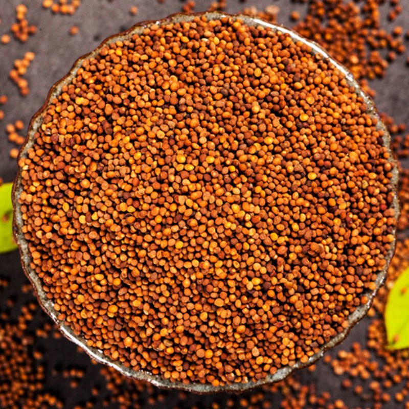 北京同仁堂原料肉苁蓉锁阳菟丝子韭菜籽淫羊藿巴戟天大云男性原材料