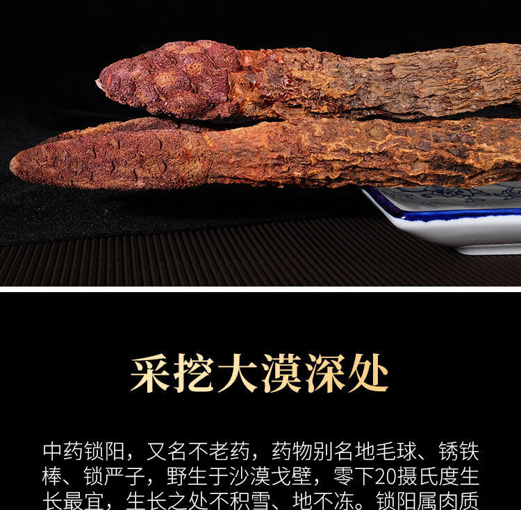 沙漠人参内蒙古锁阳片野生锁阳肉苁蓉批发可切片打粉泡茶泡酒滋补的中