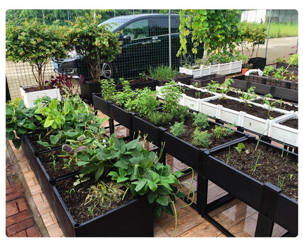 的箱子种植箱阳台种菜神器带轮黑50长方形屋顶楼顶种菜箱种植架种菜盆