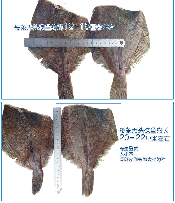 鲽鱼新鲜冷冻蝶鱼比目鱼深海碟鱼鲜活海鱼鸦片鱼500g
