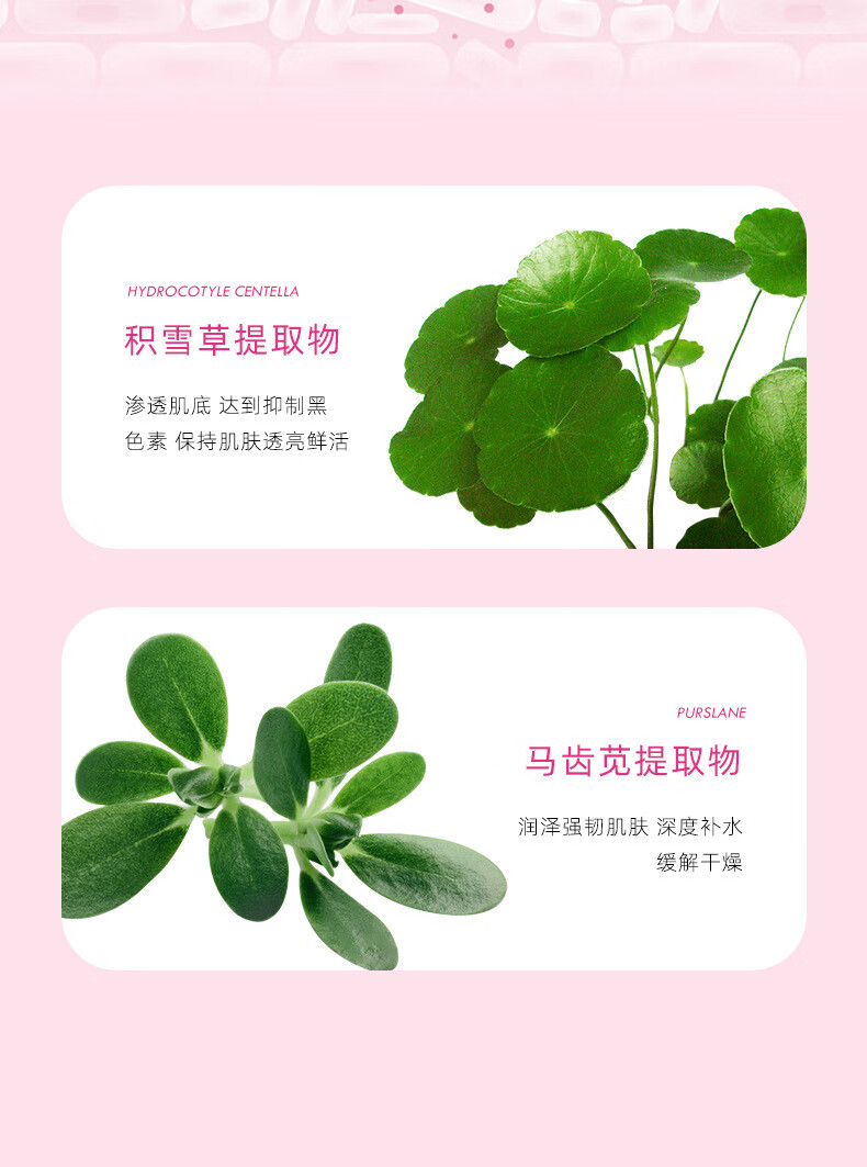 TWG壬二酸凝胶15%水杨酸净颜凝露去黑头收缩毛孔霜去粉刺 祛痘膏 TWG水杨酸细致毛孔霜