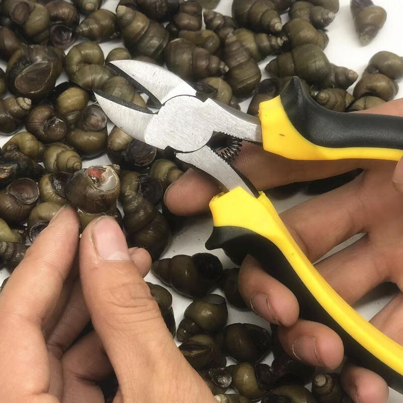 田螺剪尾刀斜口斜嘴多功能钳剪螺丝神器夹田螺剪尾器去尾工具家用