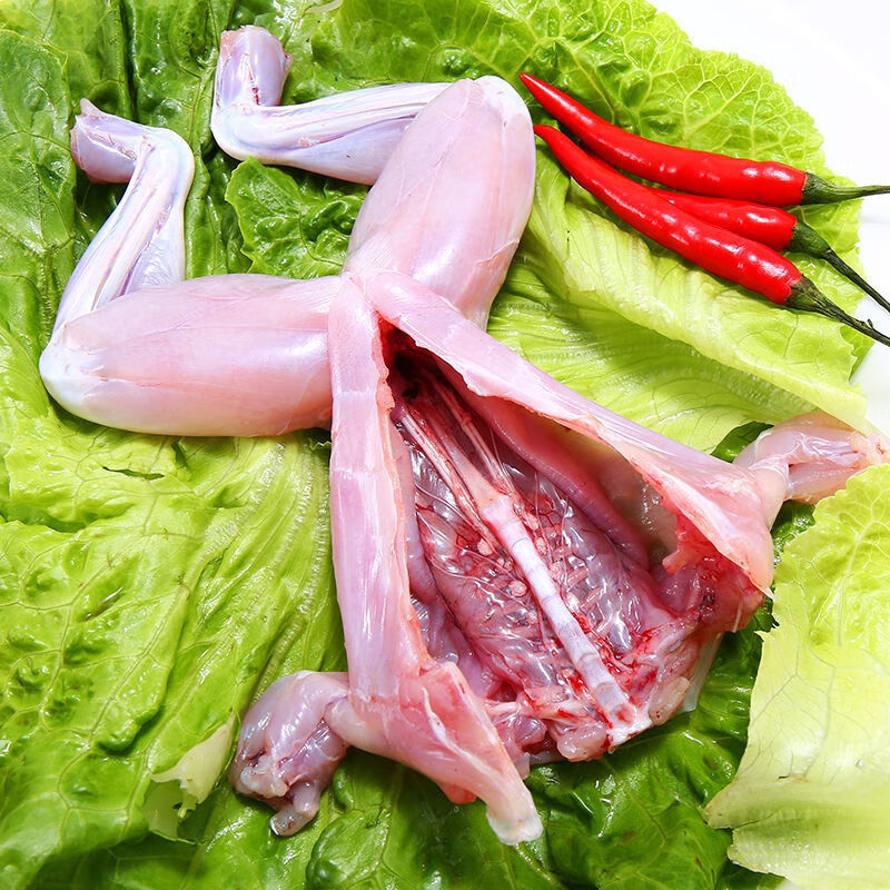 现杀速冻冰衣牛蛙新鲜麻辣干锅精选速冻牛蛙五斤装超划算