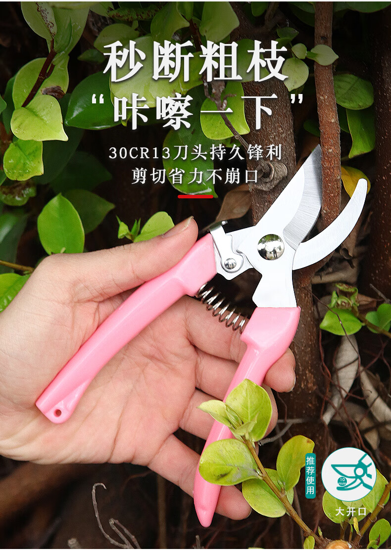 摘花椒专用剪刀 不锈钢树枝修枝剪省力采摘水果茶叶花卉盆栽月季尖头