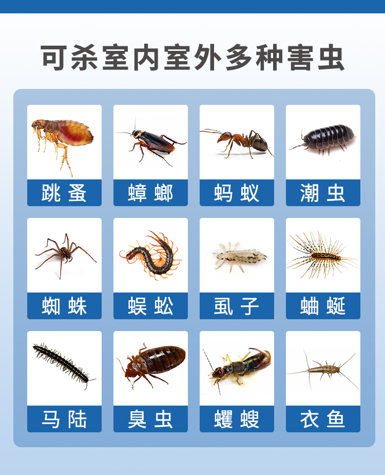 修正杀虫粉剂灭蜈蚣跳蚤除蚰蜒臭虫潮虫马陆粉室内驱虫家用蟑螂克星