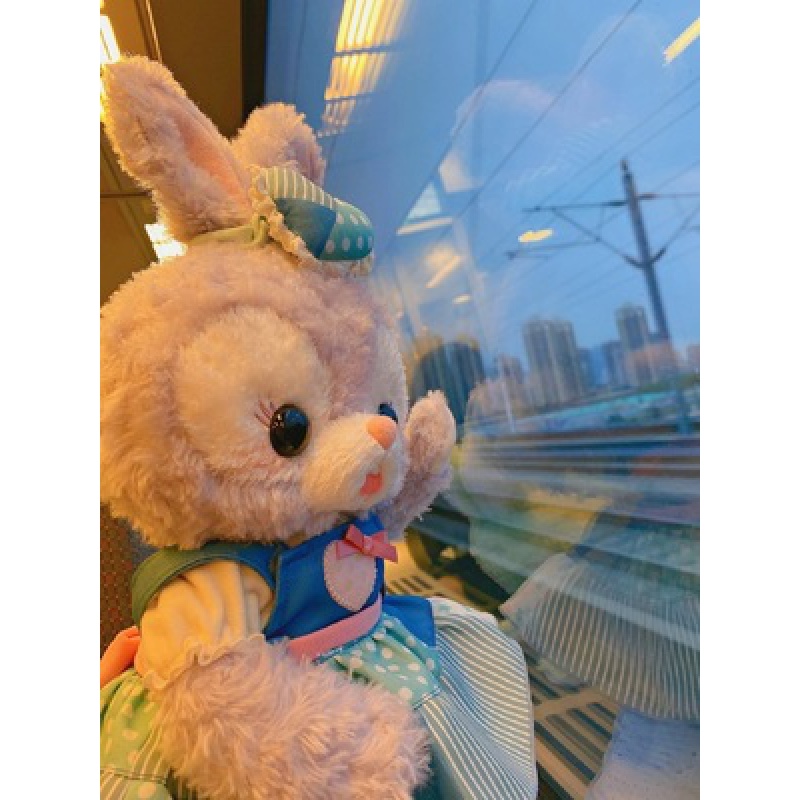 上海迪士尼代购星黛露stellalou兔子史黛拉毛绒玩偶芭蕾兔定制款限量