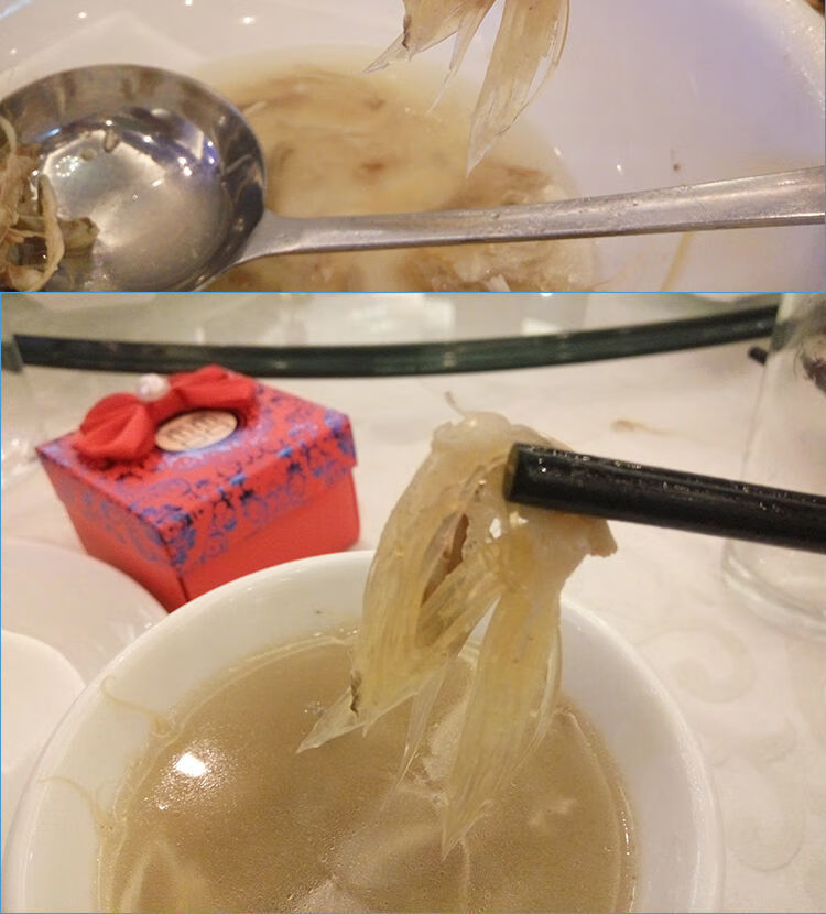 鲨鱼鳍海鲜干货酒店摆喜酒食材佛跳墙黄金煲汤 800克约两只【图片