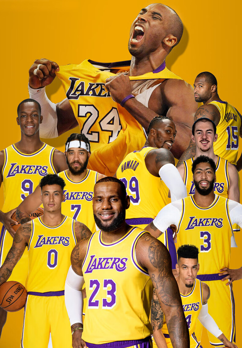 nba湖人队篮球服24233浓眉戴维斯0威少隆多团队定制黑色蛇纹前8后244