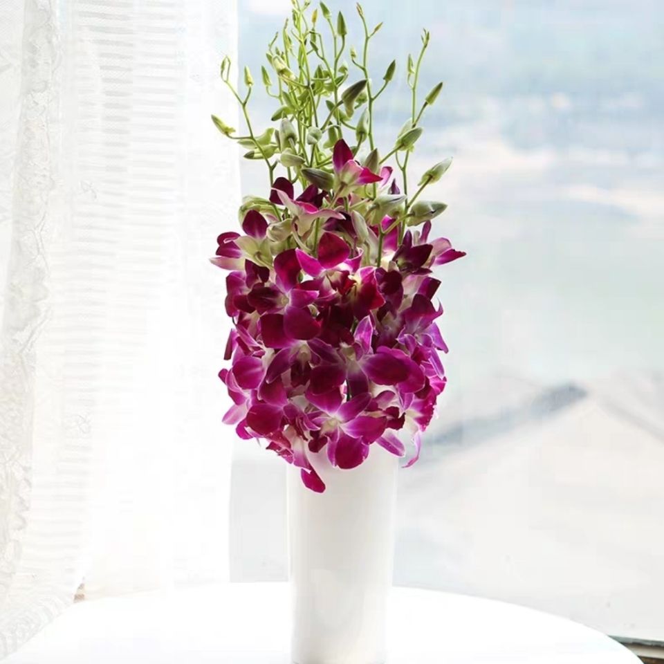 云南昆明基地直发新鲜泰国洋兰水养花家庭插花办公室用花到家 粉色