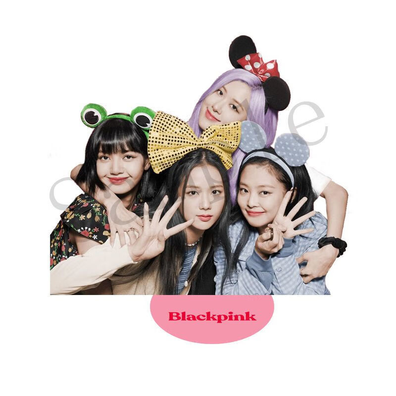 blackpink立牌周边透明双面亚克力站牌jennielisajisoo粉