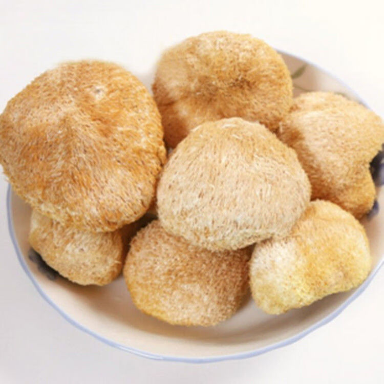 官方旗舰猴头菇猴头菇提取物粉末猴头菇精华粉50猴头菇多糖100克