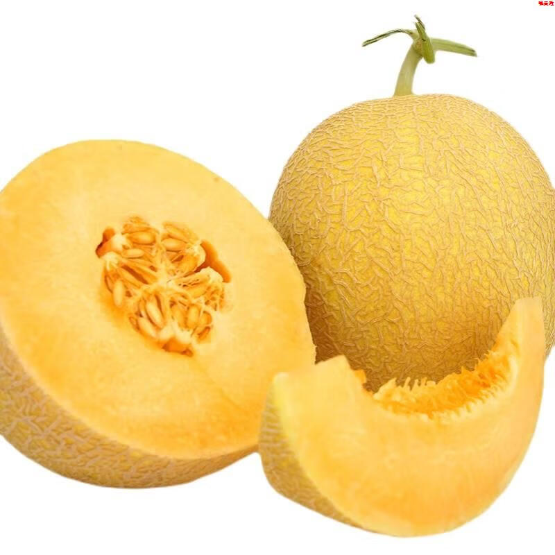 黄皮哈密瓜水果黄色哈密瓜火焰山蜜瓜网纹瓜皮薄多汁中秋节团建送礼