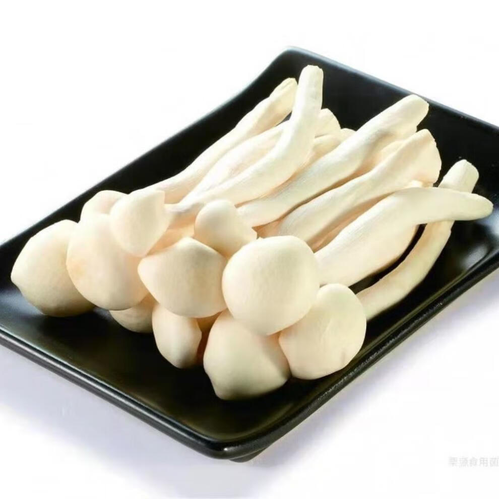 新鲜海鲜菇袋装蘑菇煲汤食用菌菇海鲜菇批发 250g*3袋【图片 价格