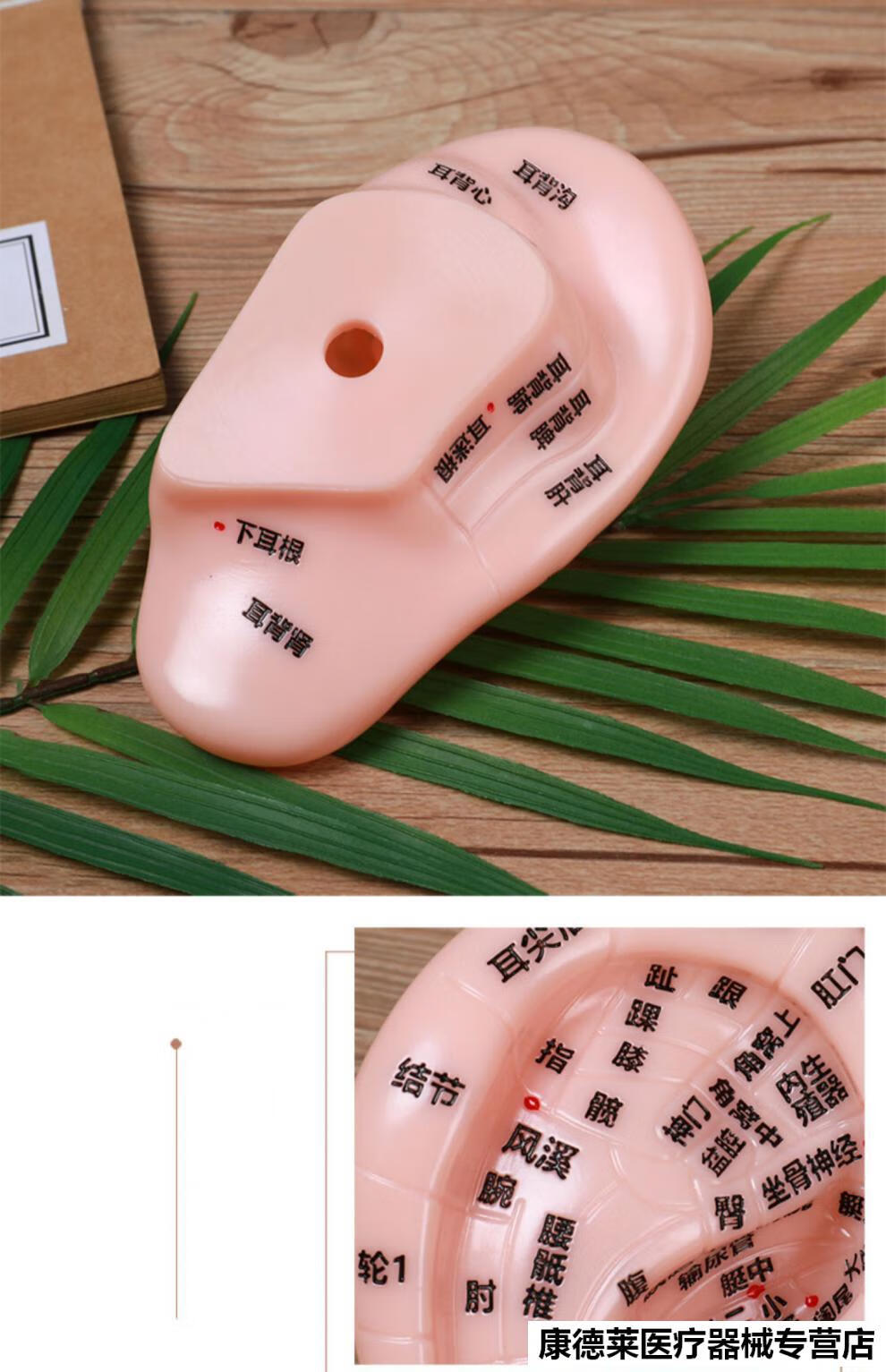 王不留行籽耳穴贴防过敏压丸贴近视耳朵穴位模型学习中医探穴笔 耳穴