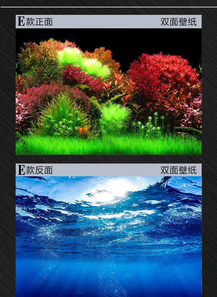 鱼缸背景画鱼缸背景纸高清图3d立体造景贴纸装饰珊瑚石水族箱壁纸l款