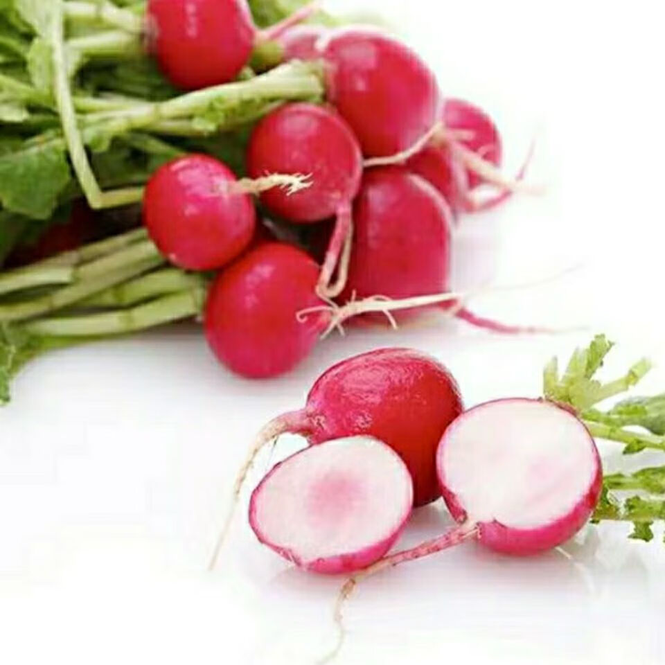 东北新鲜樱桃萝卜红皮迷你小水萝卜小红圆萝卜生吃脆甜蘸酱菜三斤