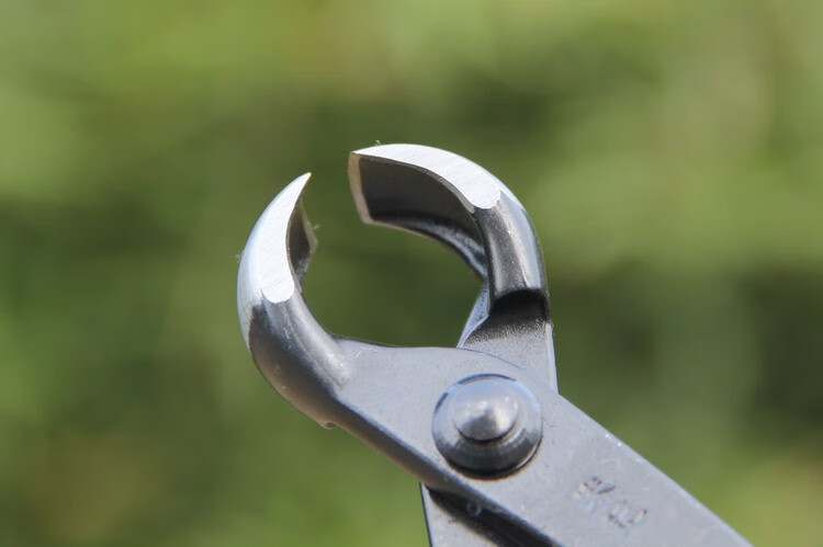 球节剪球形剪树瘤树节修剪钳盆景工具制作养护盆栽工具 b12球节剪200