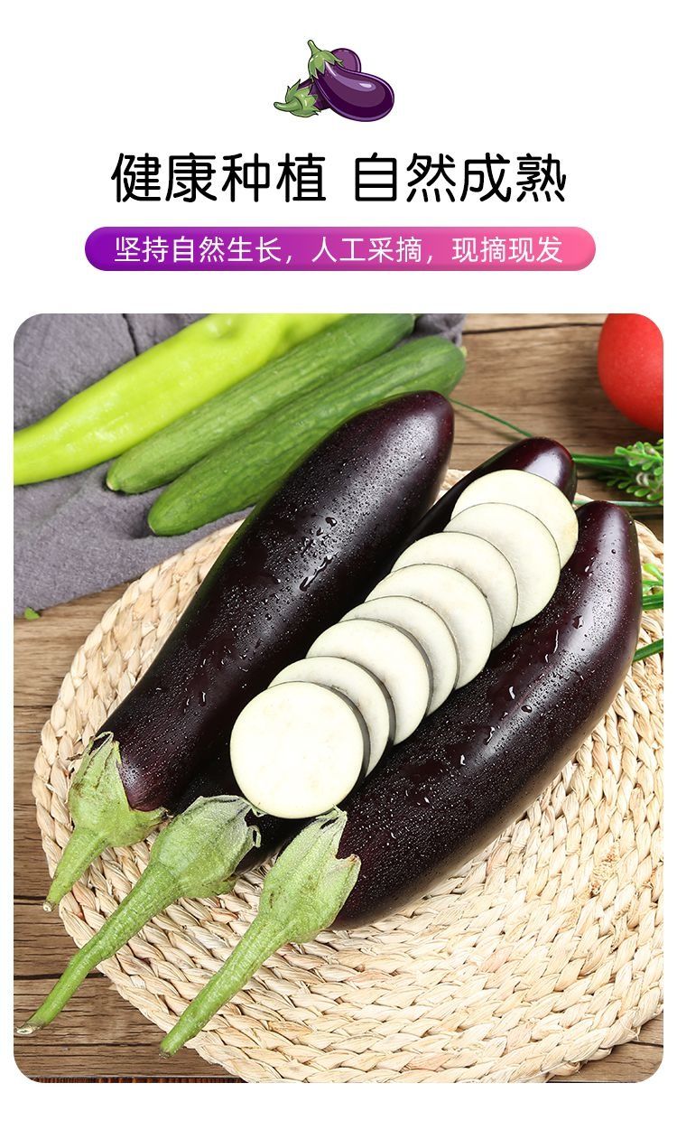云南现摘新鲜长茄子批发绿把紫色长线大农家茄子黑紫色 茄子3斤(普通