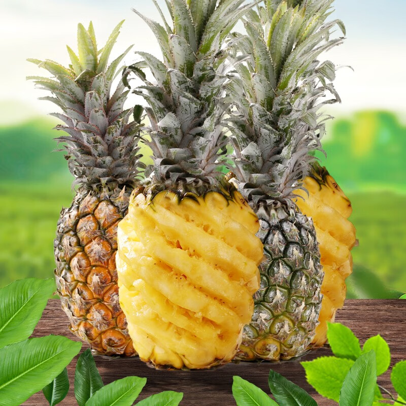 京东plus会员:盛达 云南香水小菠萝2斤装 *5件