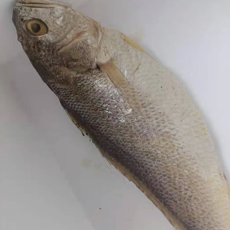 老宁波三刨 咸香鱼 咸鳓鱼咸霉鳓鱼咸鱼干咸力鱼 臭香力鱼咸鱼鲞 2条