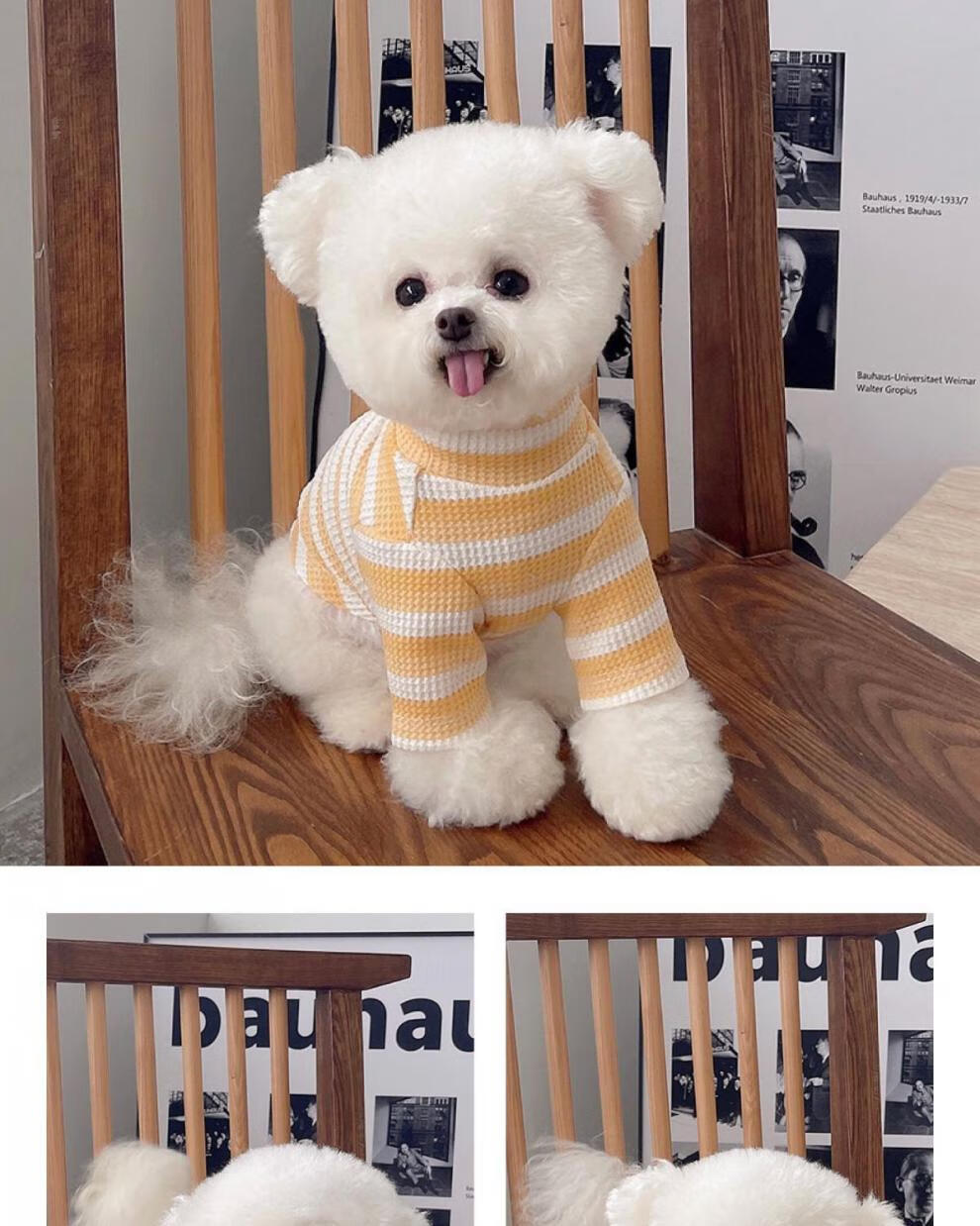 宠物狗狗衣服春夏秋条纹茶杯犬泰迪比熊小型犬幼犬透气薄款防掉毛紫色