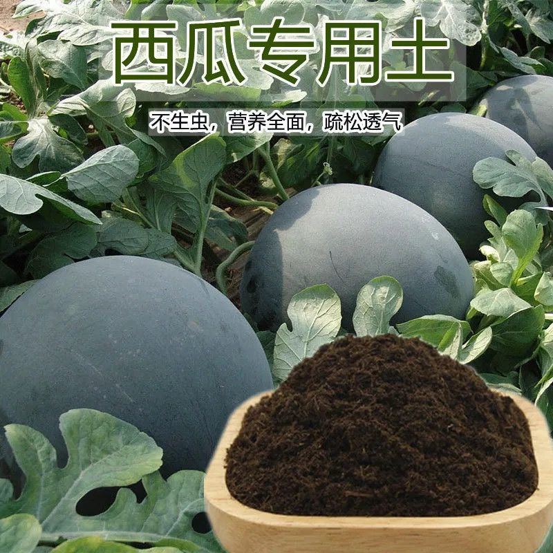 西瓜专用土西瓜土西瓜土壤有机土壤通用种植土透气瓜果专用土精品西瓜