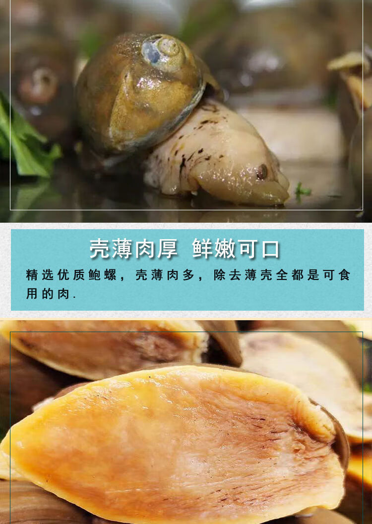 鲍螺老婆脚海鲜鲜活假鲍鱼螺网红珍珠鲍螺带壳速冻鲍鱼螺黄金鲍螺