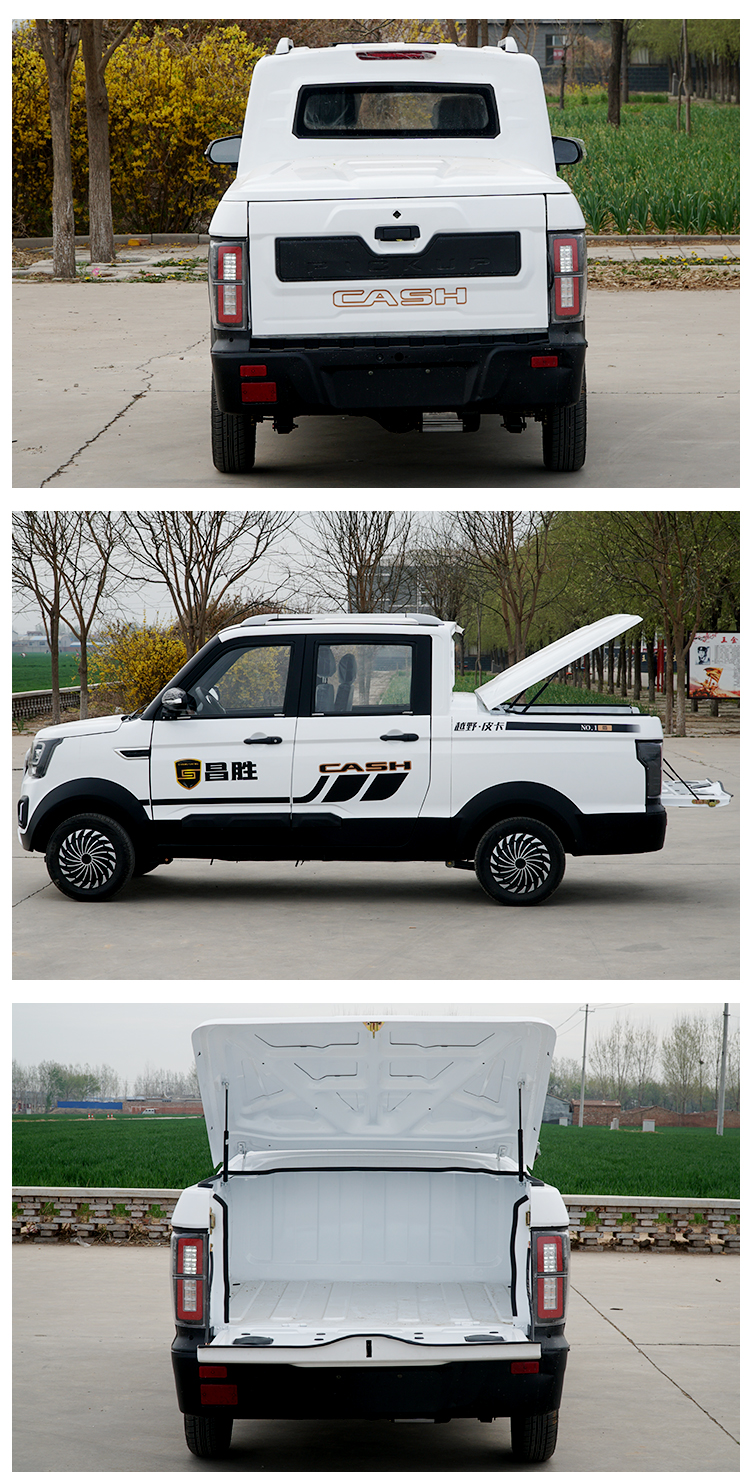 双排座油电两用电动皮卡车成人家用四轮代步汽车新能源家用带斗拉货车