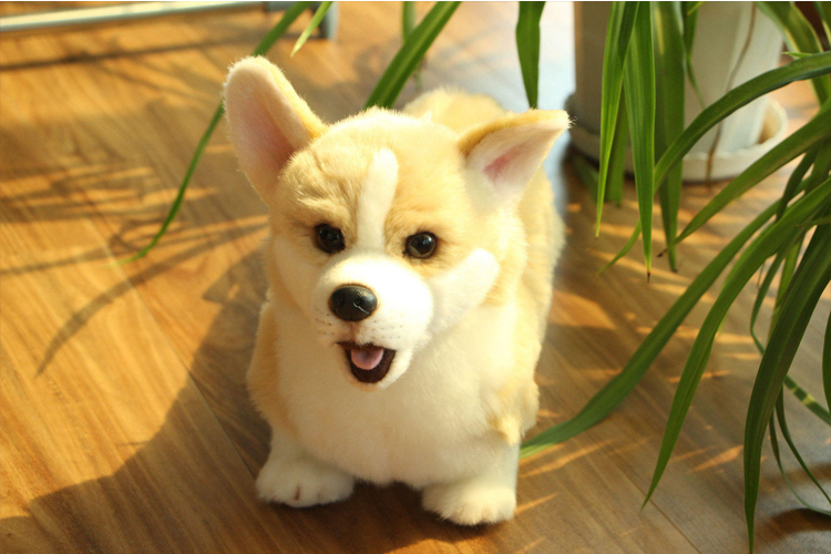 【元旦新年礼物】2021新款仿真马尔济斯公仔柯基犬博美狗毛绒玩具儿童