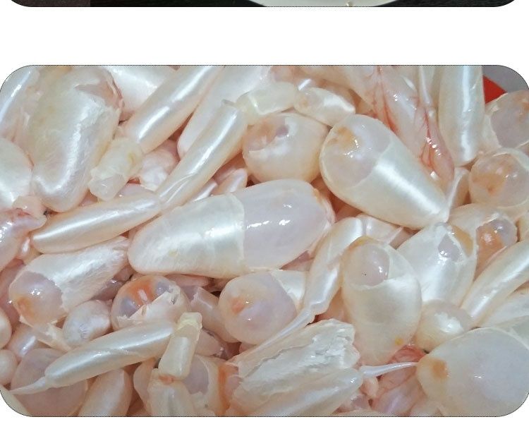 新鲜速冻鱼泡鱼泡泡鱼泡冷冻新鲜鱼泡鱼籽鱼白鱼油鱼杂鱼鳔 鱼泡 福茹