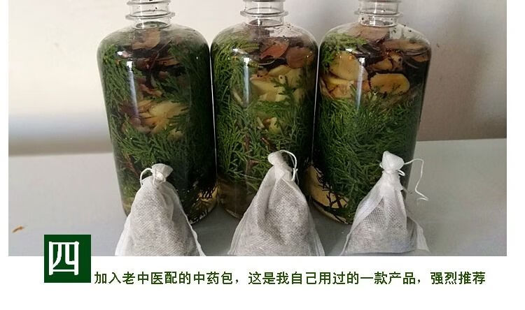 伟博乌发新鲜侧柏叶老生姜鲜骨碎补毛姜泡酒精 侧柏叶骨碎补老姜泡酒