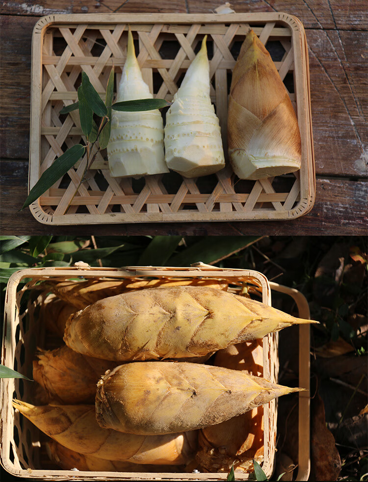 新鲜小冬笋两头尖高山冬笋现货竹笋蔬菜农产品时令蔬菜春笋8斤