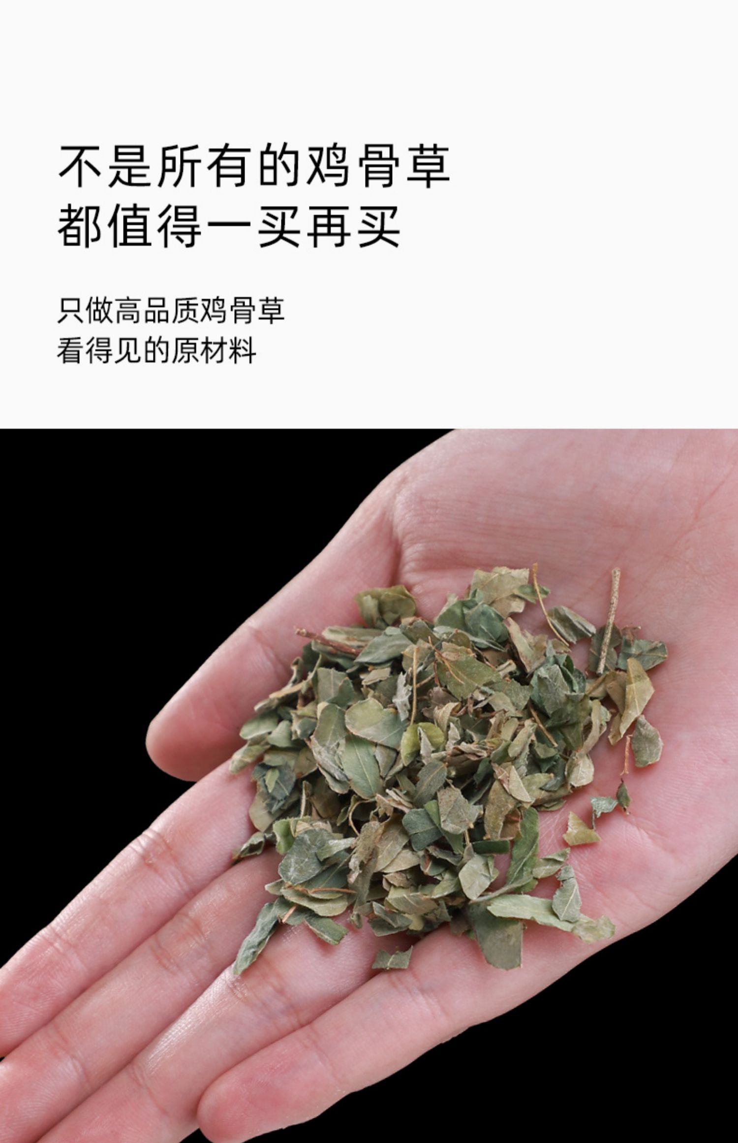 同仁堂同仁堂鸡骨草茶叶500g新鲜中药广西叶子养生茶中药材非粉鸡骨草